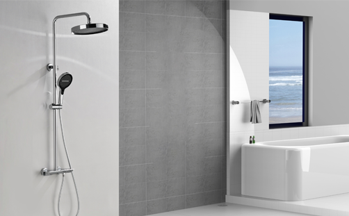 Optimizing Versatility with Exposed Dual-Shower Column Systems