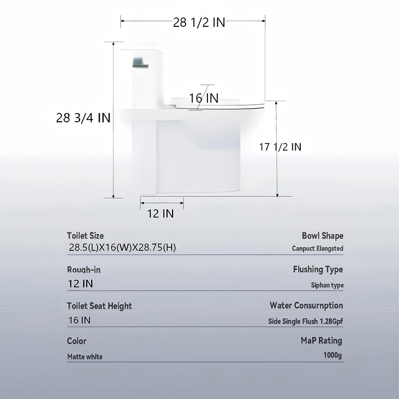 Upgrade Your Bathroom Comfort with a Compact One Piece Toilet