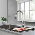 Single Handle Kitchen Faucet with Pull-Down Sprayer