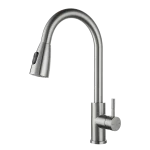 Single Handle Kitchen Faucet with Pull-Down Sprayer