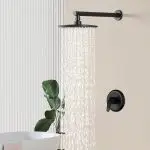 Matte Black Wall-Mounted Rain Shower System Set with 9-Inch Round Shower Head & cUPC Valve