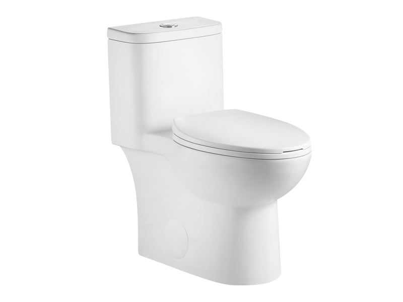 Modern Dual-Flush Elongated One-Piece Toilet