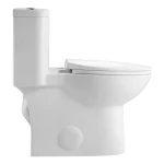 Modern Dual-Flush Elongated One-Piece Toilet