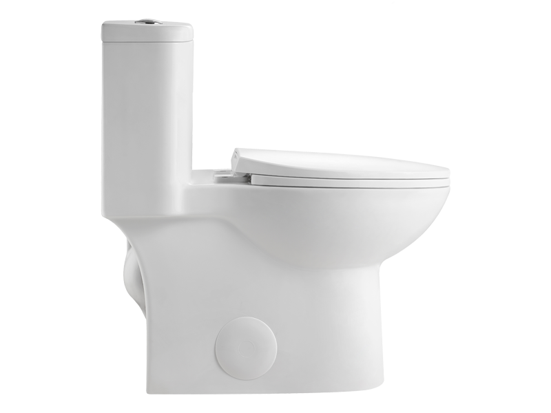 Modern Dual-Flush Elongated One-Piece Toilet
