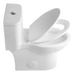Modern Dual-Flush Elongated One-Piece Toilet