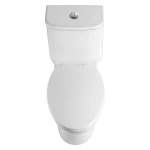 Modern Dual-Flush Elongated One-Piece Toilet