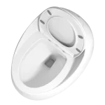 Modern Egg-Shaped One-Piece Toilet: Sleek Design Meets Advanced Bathroom Comfort