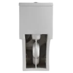 Modern Dual-Flush Elongated One-Piece Toilet