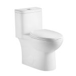 Modern Dual-Flush Elongated One-Piece Toilet