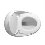 Modern Egg-Shaped One-Piece Toilet: Sleek Design Meets Advanced Bathroom Comfort