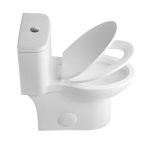 Modern Dual-Flush Elongated One-Piece Toilet