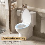 Modern Dual-Flush Elongated One-Piece Toilet