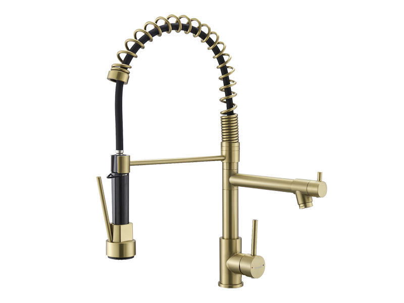 Black & Gold 2-Handle Pull-Down Kitchen Faucet with Dual-Function Sprayer