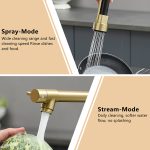 Black & Gold 2-Handle Pull-Down Kitchen Faucet with Dual-Function Sprayer