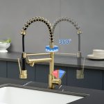Black & Gold 2-Handle Pull-Down Kitchen Faucet with Dual-Function Sprayer