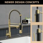 Black & Gold 2-Handle Pull-Down Kitchen Faucet with Dual-Function Sprayer