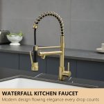 Black & Gold 2-Handle Pull-Down Kitchen Faucet with Dual-Function Sprayer
