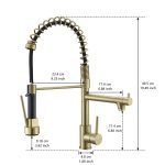 Black & Gold 2-Handle Pull-Down Kitchen Faucet with Dual-Function Sprayer