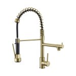Black & Gold 2-Handle Pull-Down Kitchen Faucet with Dual-Function Sprayer